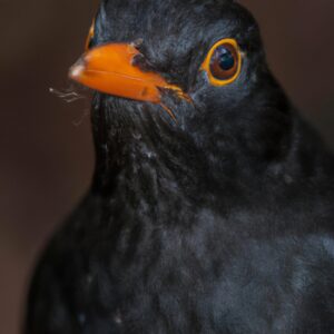 Herbstliches Vogelfutter.