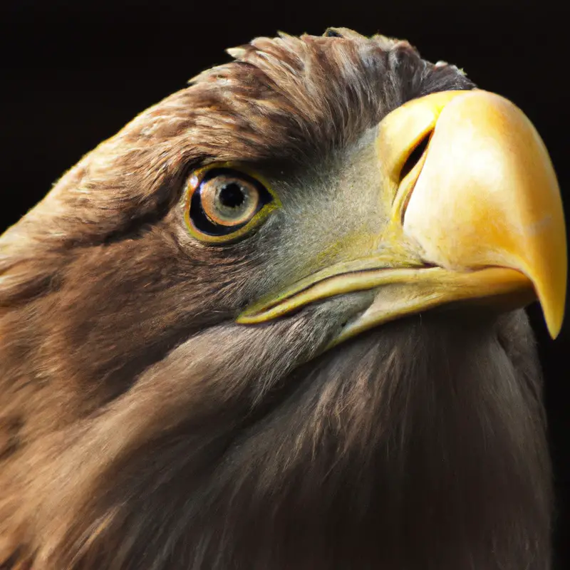 Majestätischer Vogel.