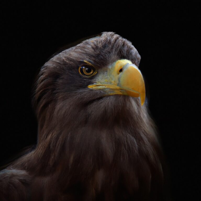 Seeadler, Schlangenadler.