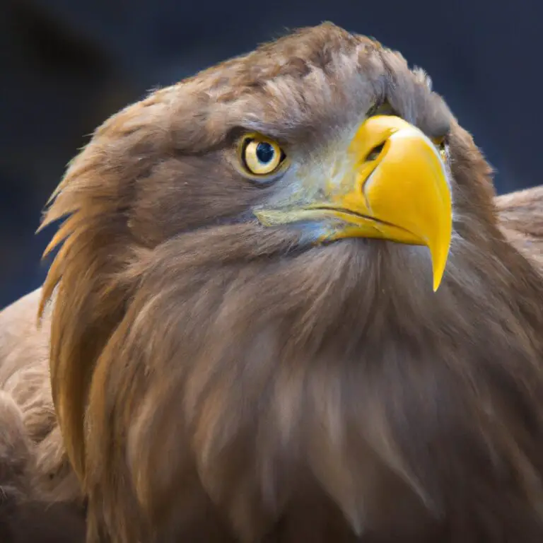 Seeadler und Fisch