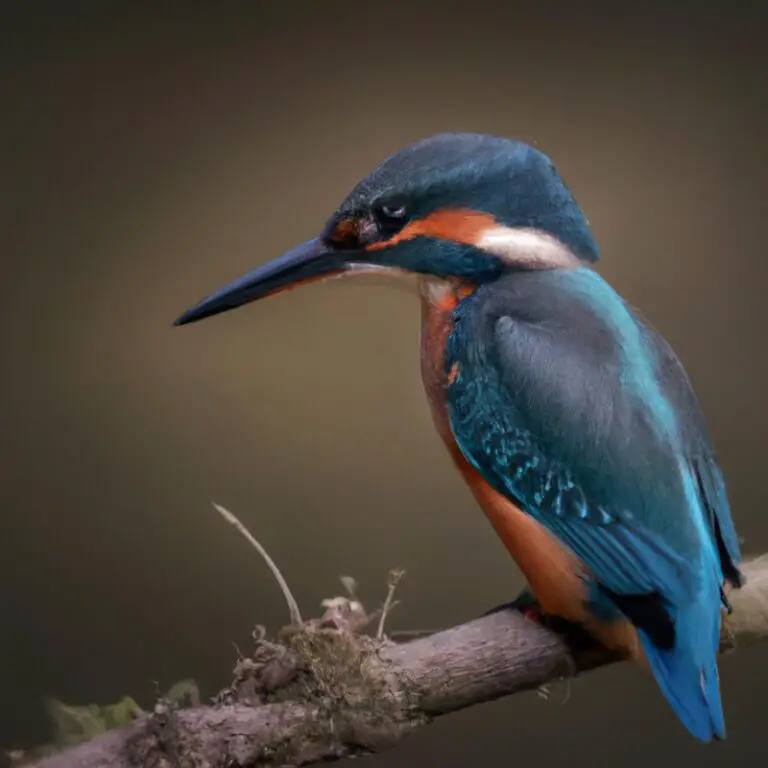 Bunter Vogel im Flug über Wasser.