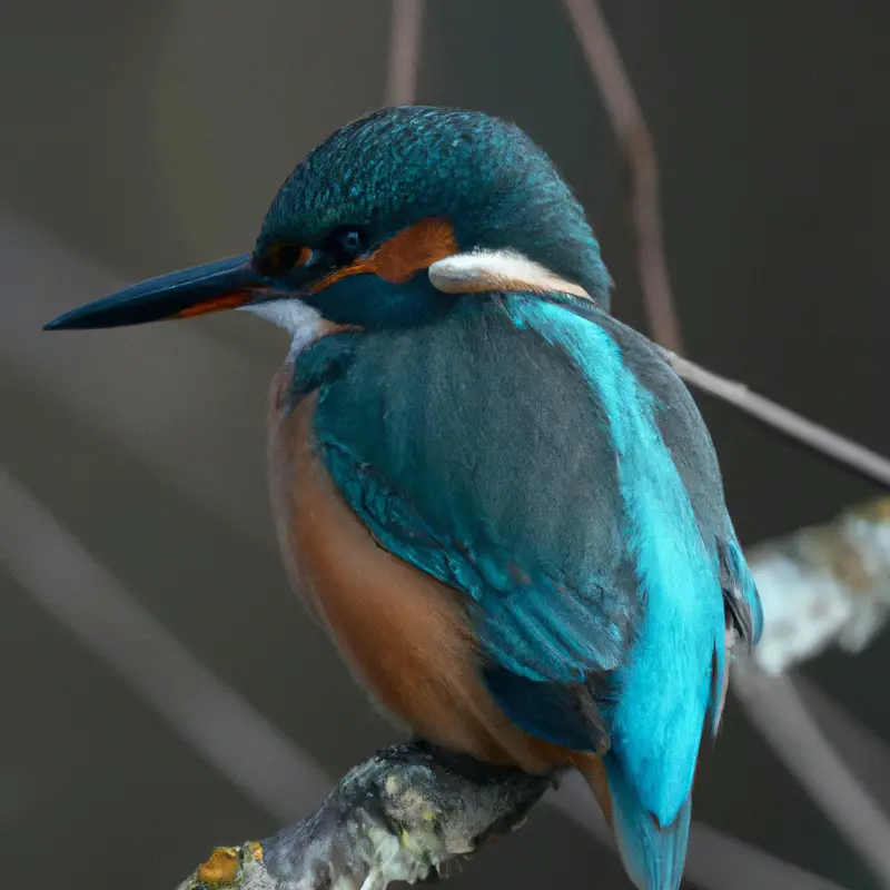 Schöner blauer Vogel