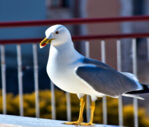 Raubtier und Greifvogel