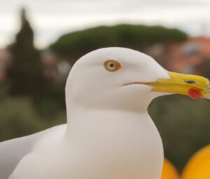 Sturmmöwe und Wasserinsektenlarve